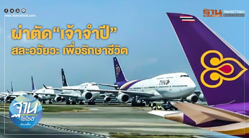 ผ่าตัด “เจ้าจำปี” สละอวัยวะ เพื่อรักษาชีวิต ผ่าตัด “เจ้าจำปี” สละอวัยวะ เพื่อรักษาชีวิต