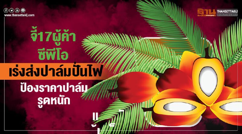 จี้ 17 ผู้ค้าซีพีโอ เร่งส่งปาล์มปั่นไฟ ป้องราคาปาล์มรูดหนัก จี้ 17 ผู้ค้าซีพีโอ เร่งส่งปาล์มปั่นไฟ ป้องราคาปาล์มรูดหนัก