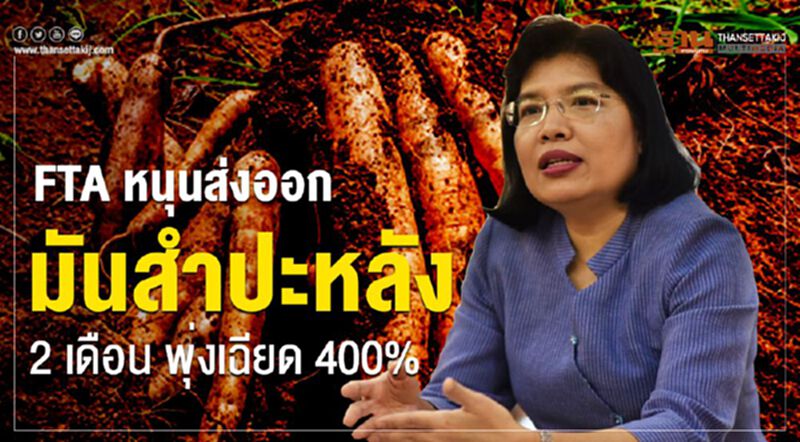 FTAหนุนส่งออกมันสำปะหลัง 2 เดือน พุ่งเฉียด 400% FTAหนุนส่งออกมันสำปะหลัง 2 เดือน พุ่งเฉียด 400%