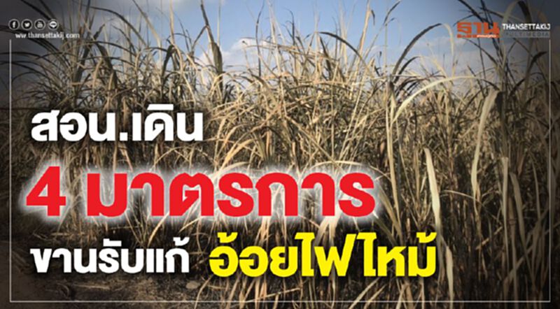 สอน.เดิน 4 มาตรการขานรับแก้อ้อยไฟไหม้ สอน.เดิน 4 มาตรการขานรับแก้อ้อยไฟไหม้
