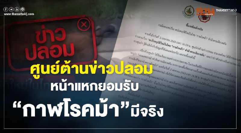 ศูนย์ต้านข่าวปลอมยอมรับ”กาฬโรคม้า”เป็นโรคอุบัติใหม่