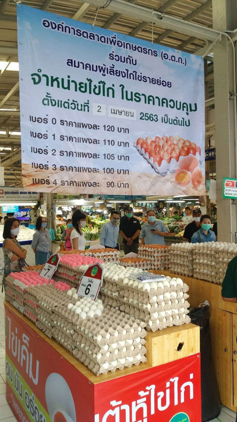 อ.ต.ก.ขายไข่ไก่ 2 ชั่วโมงเกลี้ยงทั้งที่จำกัดคนละ 3 แผง