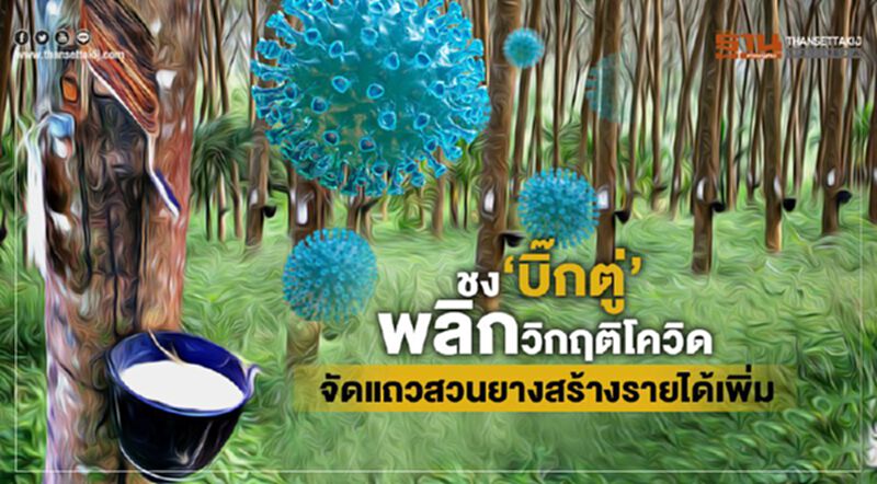 ชง‘บิ๊กตู่’พลิกวิกฤติโควิด จัดแถวสวนยางสร้างรายได้เพิ่ม ชง‘บิ๊กตู่’พลิกวิกฤติโควิด จัดแถวสวนยางสร้างรายได้เพิ่ม