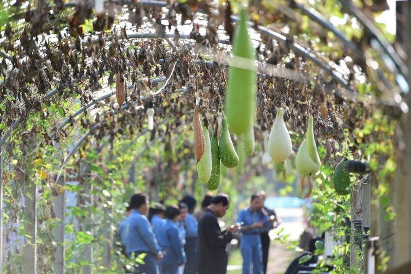 ศธ.ผลิตอาหารปลอดภัยป้อนช่วงโควิดระบาด