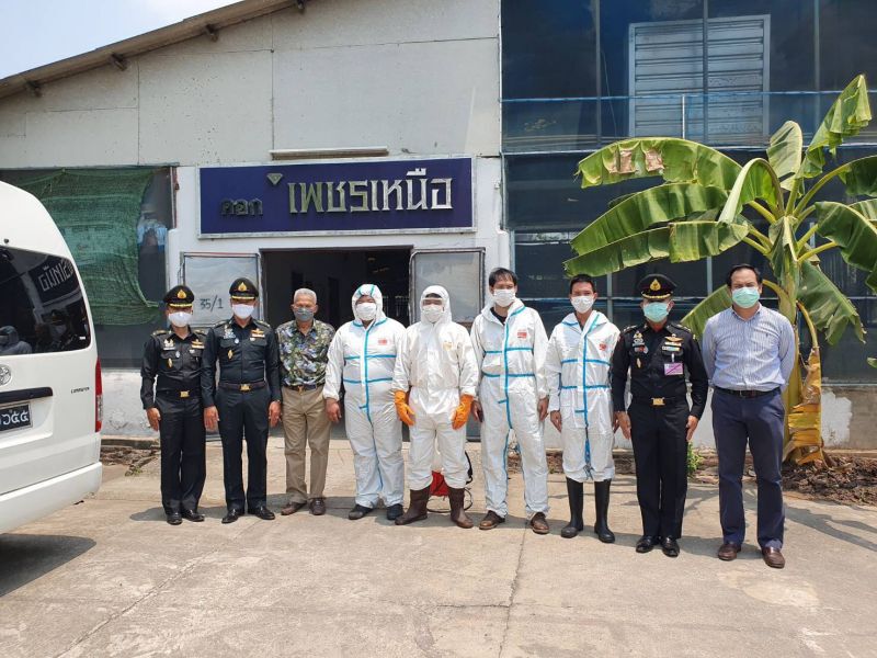 ปศุสัตว์จ่อใช้วัคซีนคุมกาฬโรคแอฟริกาในม้า