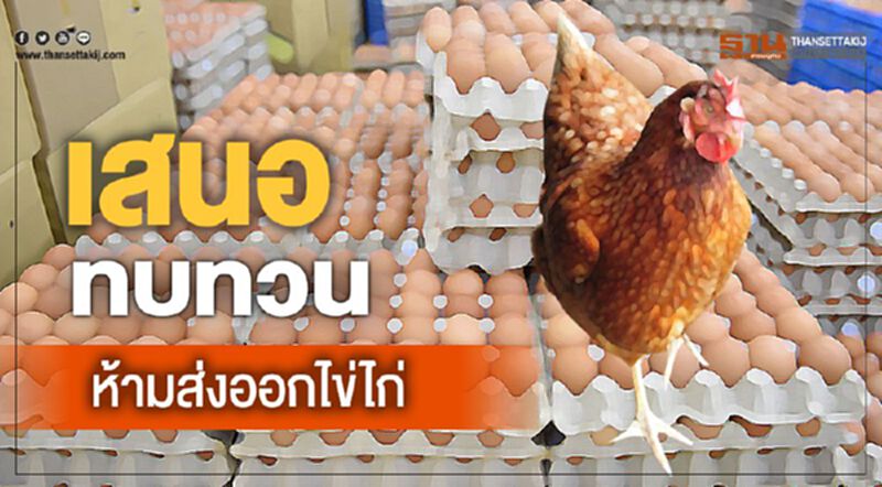 เสนอทบทวนห้ามส่งออกไข่ไก่ เสนอทบทวนห้ามส่งออกไข่ไก่
