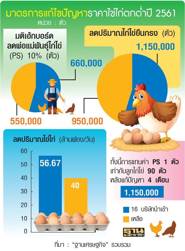 เริ่มแล้วพรุ่งนี้มีไข่เกิน 1 แสนฟอง/วัน ต้องแจ้ง