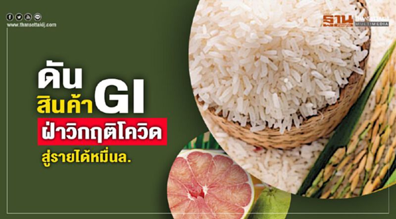 ดันสินค้า GI ฝ่าวิกฤติโควิด สู่รายได้หมื่นล้าน ดันสินค้า GI ฝ่าวิกฤติโควิด สู่รายได้หมื่นล้าน