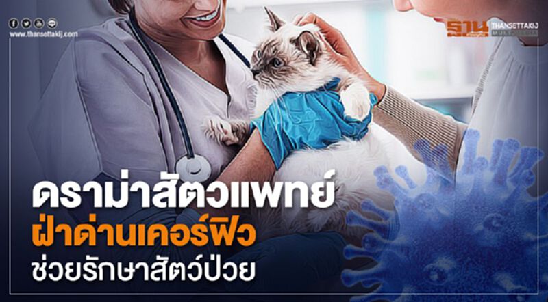ดราม่าสัตวแพทย์ ฝ่าด่านเคอร์ฟิวช่วยรักษาสัตว์ป่วย ดราม่าสัตวแพทย์ ฝ่าด่านเคอร์ฟิวช่วยรักษาสัตว์ป่วย