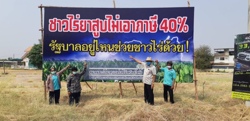 ชาวไรยาสูบ ขอ รัฐเลื่อนภาษีบุหรี่ 40%