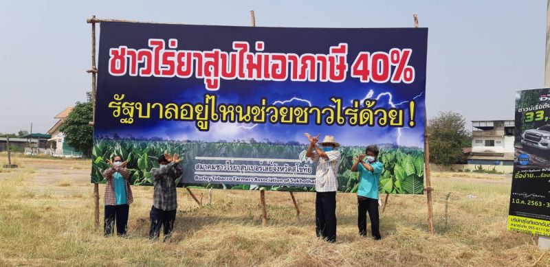 ชาวไรยาสูบ ขอ รัฐเลื่อนภาษีบุหรี่ 40%
