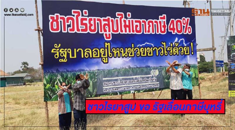 ชาวไรยาสูบ ขอ รัฐเลื่อนภาษีบุหรี่ 40% ชาวไรยาสูบ ขอ รัฐเลื่อนภาษีบุหรี่ 40%
