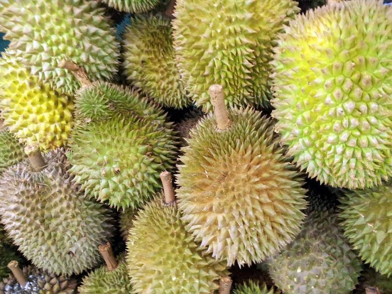 ปฏิบัติการเชิงรุกป้องผลไม้ราคาต่ำจาก “โควิด”
