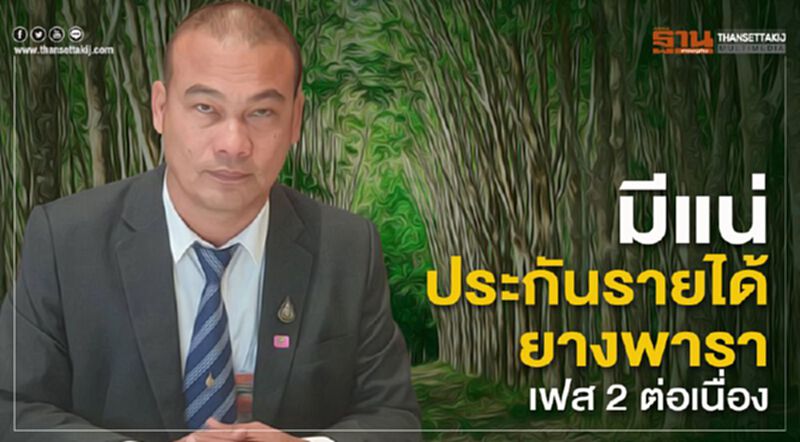 มีแน่ “ประกันรายได้ยางพารา” เฟส 2 ต่อเนื่อง มีแน่ “ประกันรายได้ยางพารา” เฟส 2 ต่อเนื่อง
