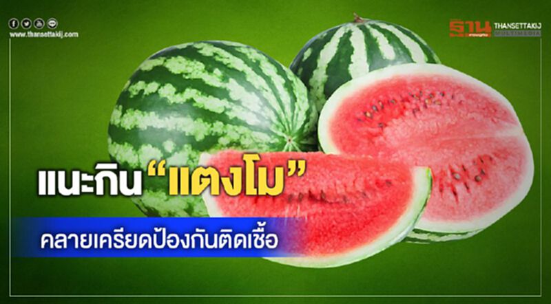 วว.แนะกิน"แตงโม"คลายเครียดป้องกันติดเชื้อ วว.แนะกิน"แตงโม"คลายเครียดป้องกันติดเชื้อ