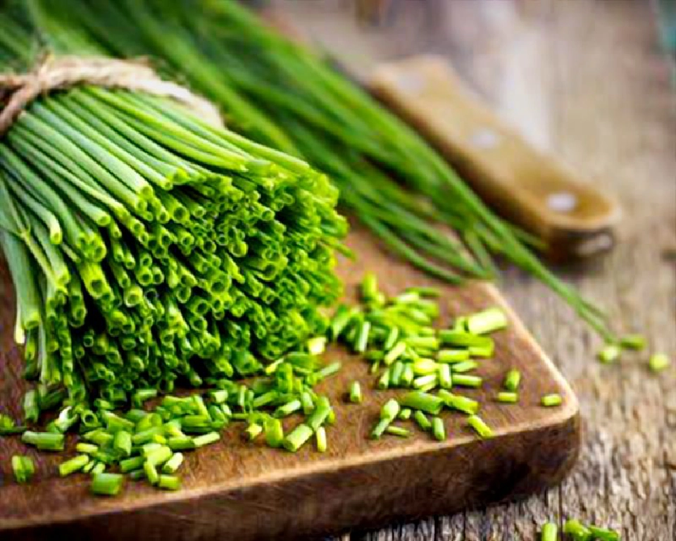 กับข้าวบ้านป่า : เบลูก้า คาเวียร์ ฉบับเชลยศักดิ์