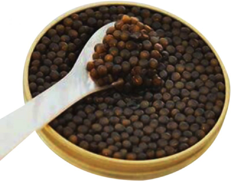 กับข้าวบ้านป่า : เบลูก้า คาเวียร์ ฉบับเชลยศักดิ์