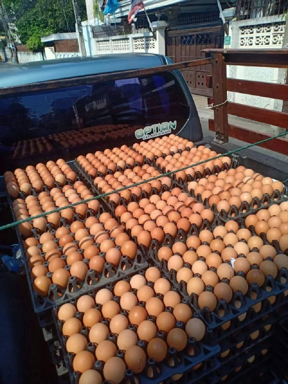 3 จังหวัดชายแดนใต้วิกฤติ"ไข่ไก่"ขาดแคลนหนัก