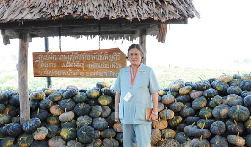 กรมสมเด็จพระเทพฯ ทรงมีพระราชกระแสรับสั่งให้มูลนิธิชัยพัฒนา จำหน่ายผักคุณภาพราคาถูก บรรเทาความเดือดร้อนราษฎร กรมสมเด็จพระเทพฯ ทรงมีพระราชกระแสรับสั่งให้มูลนิธิชัยพัฒนา จำหน่ายผักคุณภาพราคาถูก บรรเทาความเดือดร้อนราษฎร