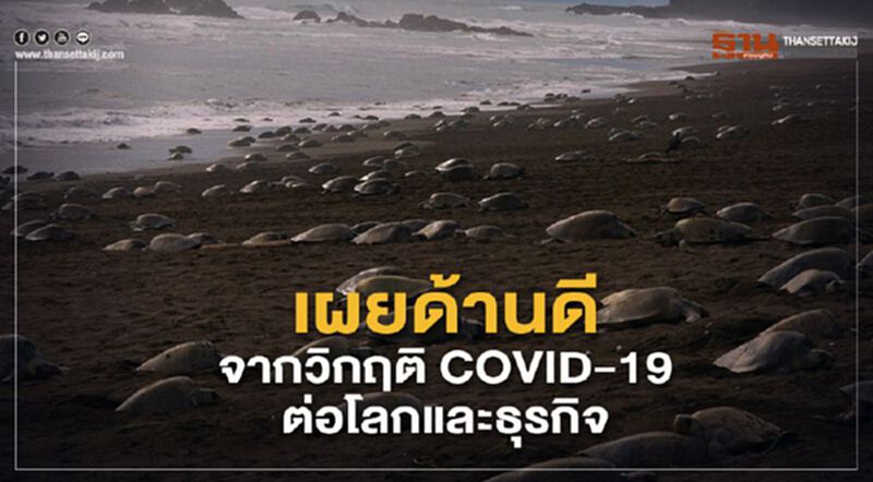 เผยด้านดีจากวิกฤติ COVID-19 ต่อโลกและธุรกิจ เผยด้านดีจากวิกฤติ COVID-19 ต่อโลกและธุรกิจ