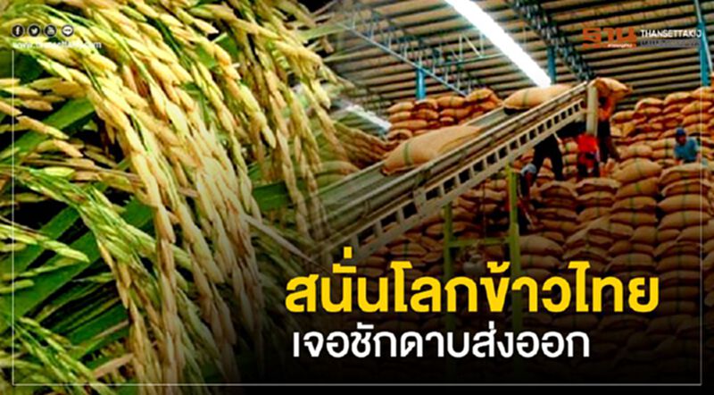 สนั่นโลกข้าวไทยเจอชักดาบส่งออก สนั่นโลกข้าวไทยเจอชักดาบส่งออก
