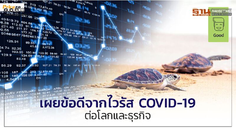 ข้อดี"โควิด-19'ธรรมชาติได้พักหายใจ-ธุรกิจออนไลน์โตกระโดด ข้อดี"โควิด-19'ธรรมชาติได้พักหายใจ-ธุรกิจออนไลน์โตกระโดด