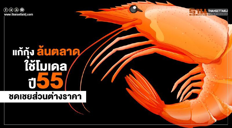 แก้กุ้งล้นตลาด ใช้โมเดลปี55 ชดเชยส่วนต่างราคา