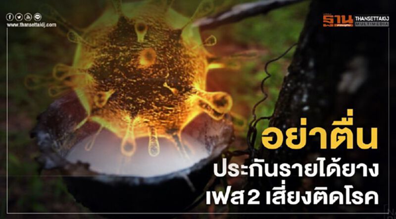 อย่าตื่นประกันรายได้ยางเฟส2 เสี่ยงติดโรค อย่าตื่นประกันรายได้ยางเฟส2 เสี่ยงติดโรค
