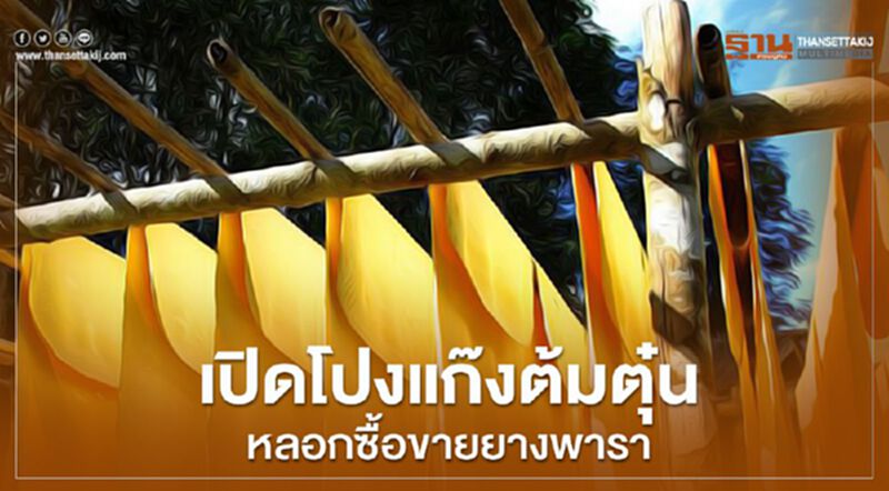 เปิดโปงแก๊งต้มตุ๋นหลอกซื้อขายยางพารา เปิดโปงแก๊งต้มตุ๋นหลอกซื้อขายยางพารา
