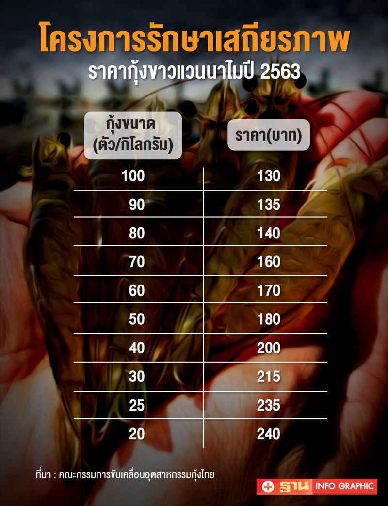 ชงงบ 2 พันล้านรักษาเสถียรภาพราคากุ้ง