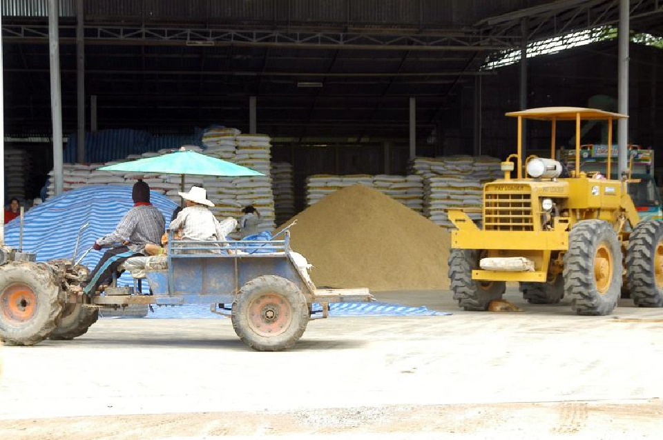 ราคาข้าวพุ่งรอบ 10ปี ใครได้-ใครเสีย ?