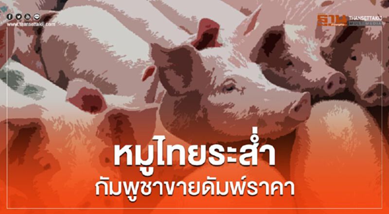 หมูไทยระส่ำกัมพูชาขายดัมพ์ราคา หมูไทยระส่ำกัมพูชาขายดัมพ์ราคา