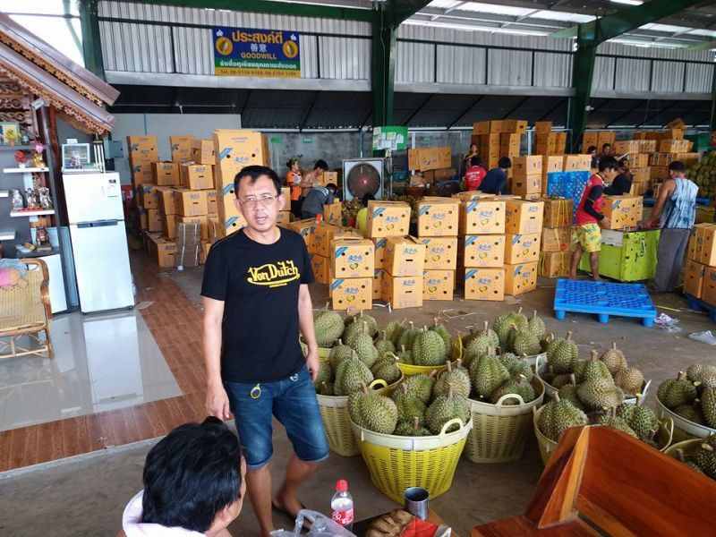 ร่วงทุเรียนถูกลงเหลือ 105 บาทต่อกิโลกรัม