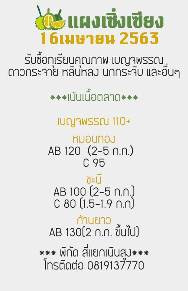 ร่วงทุเรียนถูกลงเหลือ 105 บาทต่อกิโลกรัม