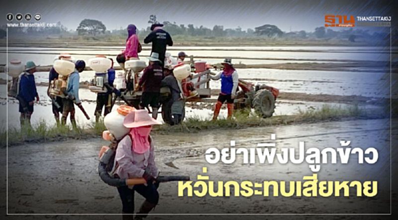 อย่าเพิ่งปลูกข้าวหวั่นกระทบเสียหาย อย่าเพิ่งปลูกข้าวหวั่นกระทบเสียหาย
