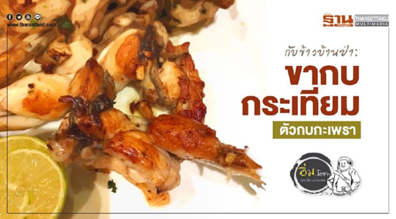 กับข้าวบ้านป่า : ขากบกระเทียม/ตัวกบกะเพรา กับข้าวบ้านป่า : ขากบกระเทียม/ตัวกบกะเพรา