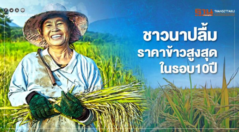 ชาวนา ปลื้ม ราคาข้าวสูงสุดในรอบ 10 ปี ชาวนา ปลื้ม ราคาข้าวสูงสุดในรอบ 10 ปี