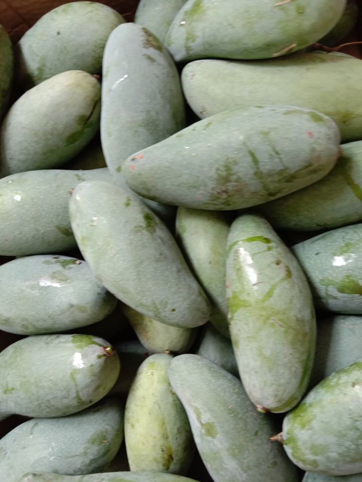 เลยเปิดหน้าศาลากลางขาย”มะม่วงบุฮม”