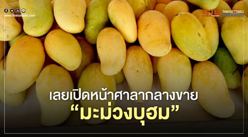 เลยเปิดหน้าศาลากลางขาย”มะม่วงบุฮม” เลยเปิดหน้าศาลากลางขาย”มะม่วงบุฮม”