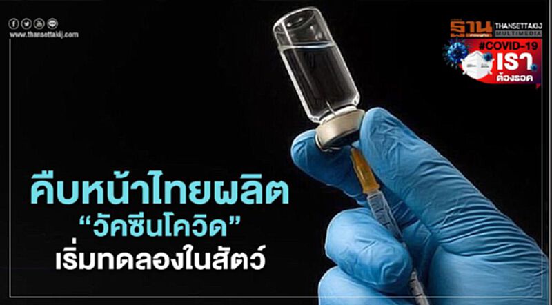 คืบหน้าไทยผลิต"วัคซีนโควิด" เริ่มทดลองในสัตว์ คืบหน้าไทยผลิต"วัคซีนโควิด" เริ่มทดลองในสัตว์