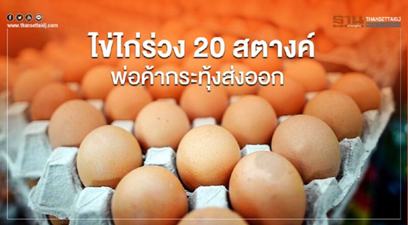 ไข่ไก่ร่วง 20 สตางค์พ่อค้ากระทุ้งส่งออก ไข่ไก่ร่วง 20 สตางค์พ่อค้ากระทุ้งส่งออก