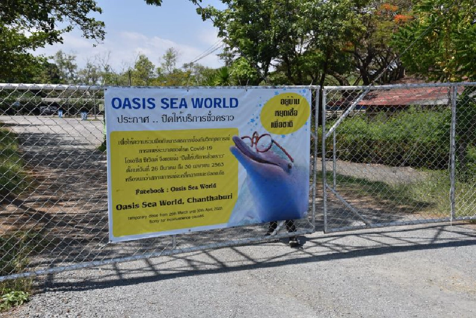 โอเอซิสซีเวิลด์ตัดใจ”ขายสวน”ต่อชีวิตโลมา