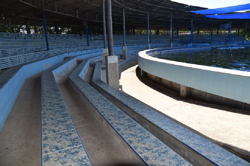 โอเอซิสซีเวิลด์ตัดใจ”ขายสวน”ต่อชีวิตโลมา