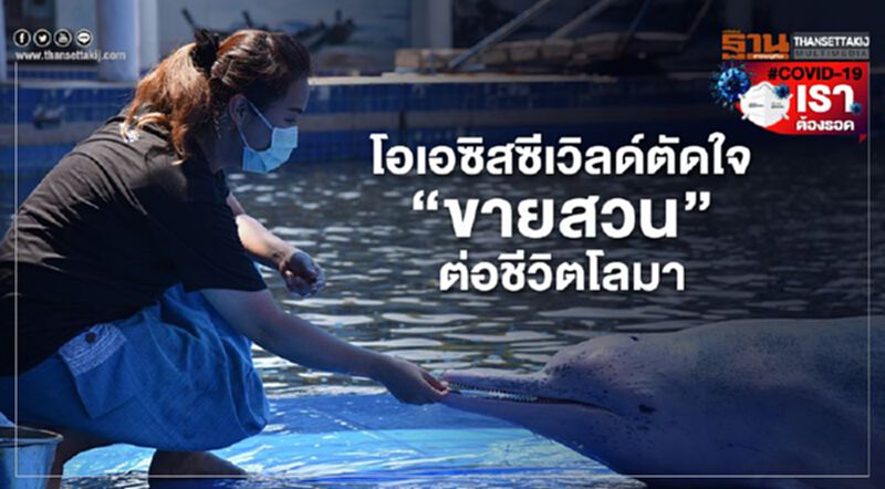 โอเอซิสซีเวิลด์ตัดใจ”ขายสวน”ต่อชีวิตโลมา โอเอซิสซีเวิลด์ตัดใจ”ขายสวน”ต่อชีวิตโลมา