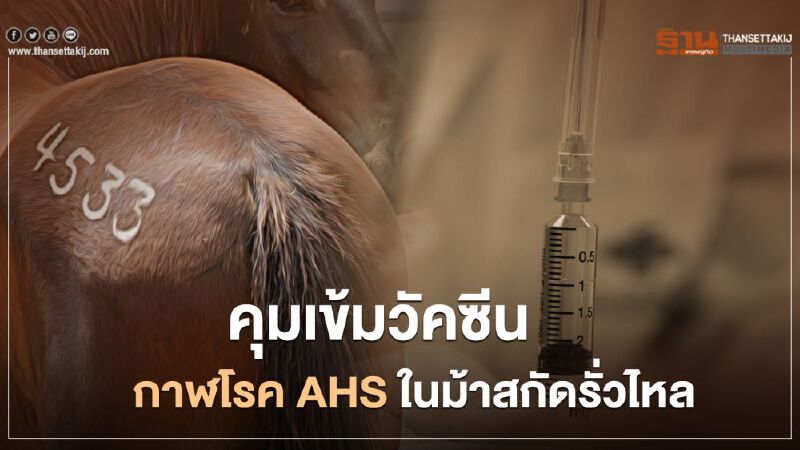 คุมเข้มวัคซีนกาฬโรค AHS ในม้าสกัดรั่วไหล