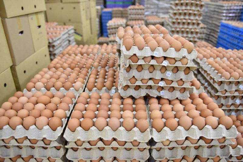 พาณิชย์ขนไข่ไก่ช่วย3ชายแดนใต้