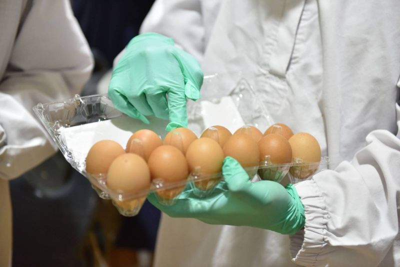 พาณิชย์ขนไข่ไก่ช่วย3ชายแดนใต้