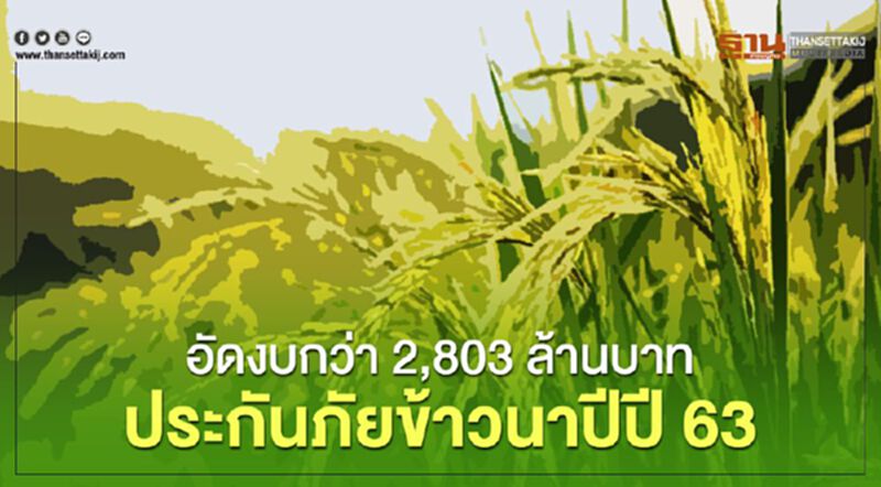 อัดงบกว่า2,803ล้านบาทประกันภัยข้าวนาปีปี63 อัดงบกว่า2,803ล้านบาทประกันภัยข้าวนาปีปี63