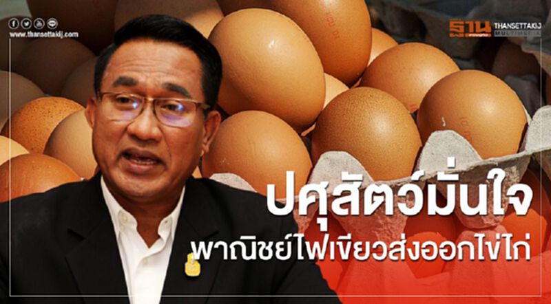 ปศุสัตว์มั่นใจพาณิชย์ไฟเขียวส่งออกไข่ไก่ ปศุสัตว์มั่นใจพาณิชย์ไฟเขียวส่งออกไข่ไก่