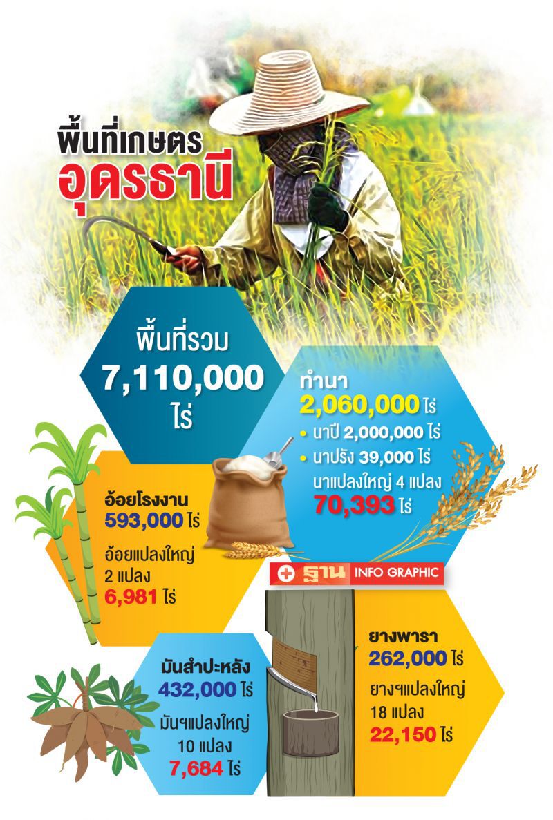 ชาวนาอุดรธานี"งดขายข้าว" ให้ลูกหนีภัยโควิดกลับบ้านไว้กิน